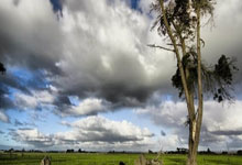 “深圳AI陪伴机器人项目获红杉资本青睐,引领智能交互新潮流”