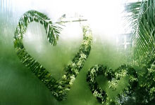 “深圳AI陪伴机器人项目获红杉资本青睐,引领智能交互新潮流”