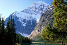 “深圳AI陪伴机器人项目获红杉资本青睐,引领智能交互新潮流”