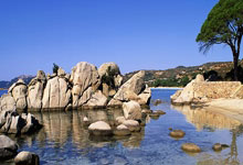 “深圳AI陪伴机器人项目获红杉资本青睐,引领智能交互新潮流”